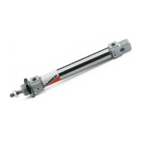 Пневмоцилиндр 25x25 Camozzi 24N2A25A025
