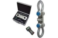 КВ-Е-100Т с ПДУ-280М - Электронные крановые весы